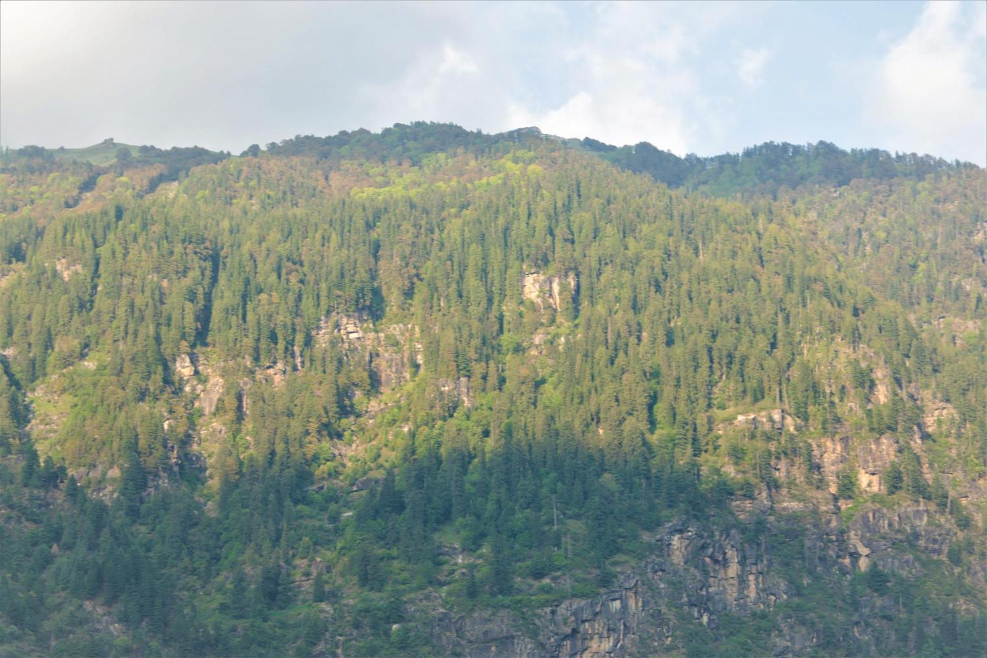 Beholden Stay And Cafe - A Luxury Boutique Hotel In Manali Manāli Buitenkant foto